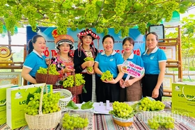 Phụ nữ Đất Tổ bản lĩnh, sáng tạo, làm chủ công nghệ