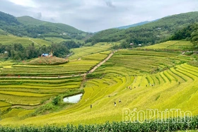 Lễ hội Ruộng bậc thang Miền Đồi năm 2026 sẽ diễn ra trong 2 ngày 24 - 25/10