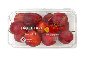 Giá cả thị trường ngày 23 / 10/2026