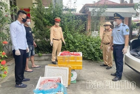 Tăng cường kiểm tra, xử lý vi phạm trong lĩnh vực nông nghiệp, an toàn thực phẩm