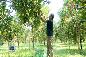 Đa dạng sinh kế nâng cao thu nhập cho người dân