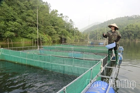 “Thảm đỏ” nơi đất Mẹ Âu Cơ