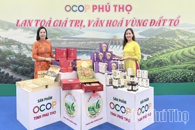 Tăng cường hoạt động xúc tiến thương mại, mở rộng thị trường dịp cuối năm