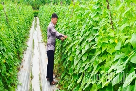 Bảo đảm nguồn cung thực phẩm dịp cuối năm