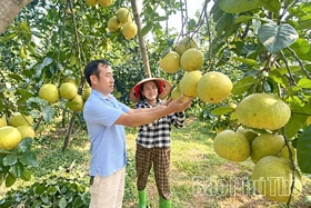 Phú Thọ có trên 100 sản phẩm chủ lực được bảo hộ quyền sở hữu trí tuệ