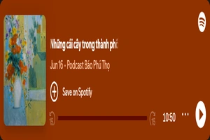 Những cái cây trong thành phố