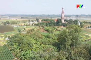 Nơi lưu giữ dấu ấn Đồng Đậu