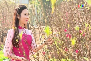 Cánh hoa mùa Xuân