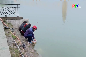 Nhộn nhịp thả cá chép tiễn ông Công, ông Táo