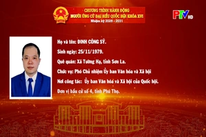 Tiểu sử và chương trình hành động ứng cử Đại biểu Quốc hội khóa XVI của đồng chí Đinh Công Sỹ
