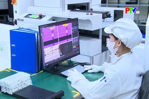 Doanh nghiệp FDI cần chủ động rà soát quyết toán thuế