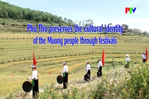 Phu Tho preserves the cultural identity of the Muong people through festivals