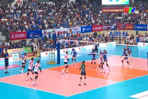 Hà Nội Tasco Auto lần đầu tiên vô địch Giải Bóng chuyền Cúp Hùng Vương