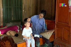 Chiếc lá úa gắng gượng trước dông bão