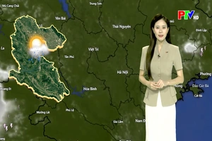 Dự báo thời tiết tỉnh Phú Thọ ngày 8/6/2026
