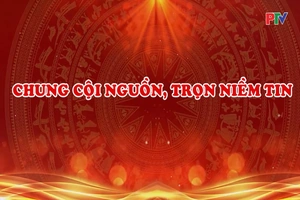 Chung cội nguồn, trọn niềm tin