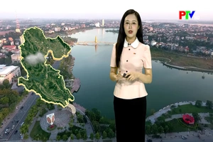 Dự báo thời tiết tỉnh Phú Thọ ngày 11/6/2026