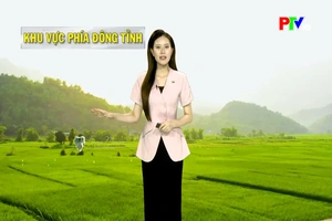 Dự báo thời tiết tỉnh Phú Thọ ngày 17/7/2026