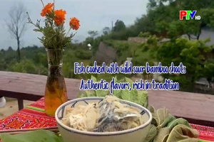 Fish cooked with wild sour bamboo shoots – Authentic flavors, rich in tradition