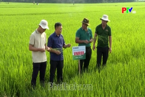 Phu Tho News on July 30, 2026