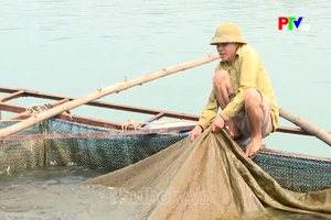 Đảm bảo an toàn cá lồng trong mùa mưa lũ