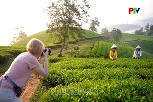Phát triển nông nghiệp tuần hoàn đa giá trị