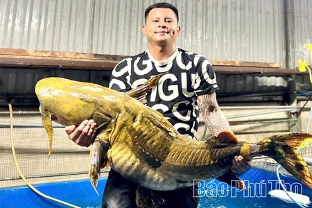 Săn “ngũ quý hà thủy”