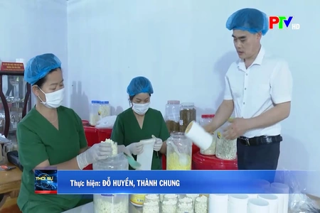 Tăng cường sản xuất gắn với chế biến nông sản