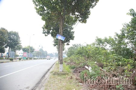 Gần một thập kỷ chờ đợi giải quyết dự án treo