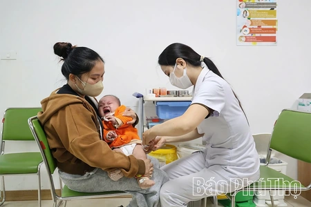 Hơn 2,6 triệu liều vắc xin phục vụ công tác tiêm chủng mở rộng giai đoạn 2026 - 2028