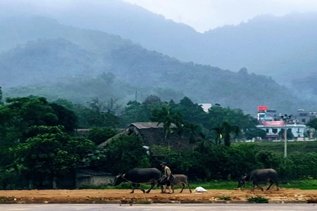 Ăn Tết trên bản mù sương