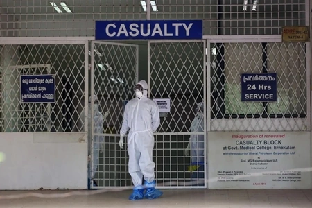 Nhật Bản sắp thử nghiệm vaccine ngừa virus Nipah