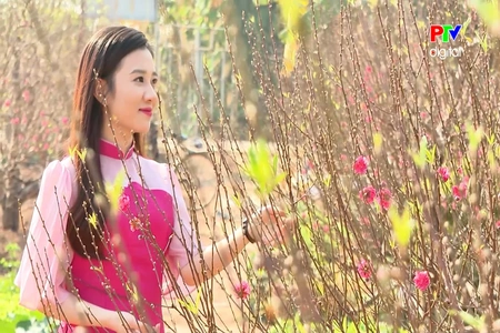 Cánh hoa mùa Xuân