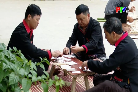 Phu Tho News on February 5, 2026