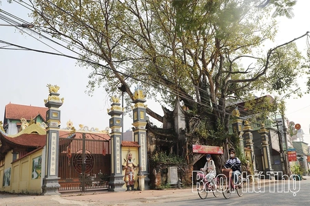 Độc đáo cổng đình Phú Hậu