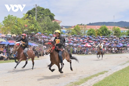 Đến Bắc Hà nghe chuyện vó ngựa trên cao nguyên trắng
