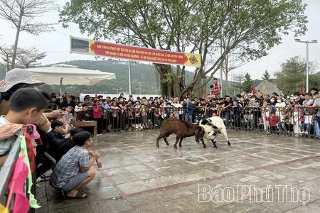 Độc đáo hội chọi dê trong Lễ hội xuống đồng của dân tộc Cao Lan