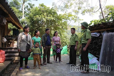 Miền xanh Thu Cúc