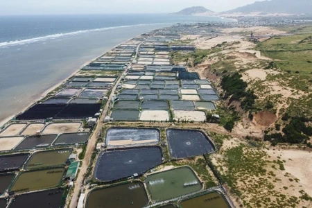 Phạt 2 tỷ đồng nếu để xảy ra sự cố hạt nhân