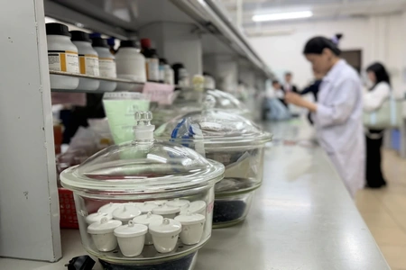 ‘Nhà giáo nghỉ hưu được ký hợp đồng toàn thời gian’ phù hợp xu hướng quốc tế