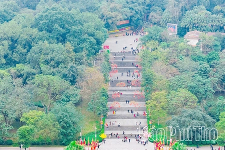 Chuyện giữ “báu vật xanh” đất cội nguồn