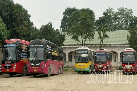 Các tuyến xe buýt vẫn hoạt động ổn định dù giá xăng dầu tăng cao