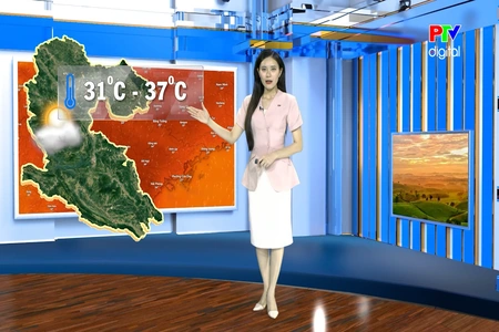 Dự báo thời tiết tỉnh Phú Thọ ngày 8/4/2026