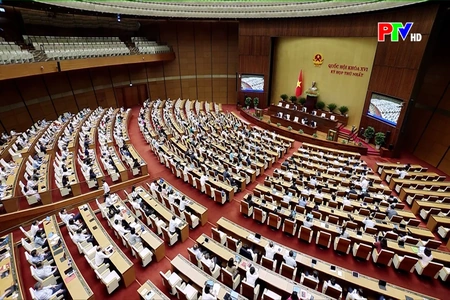 ĐBQH tỉnh Phú Thọ: Nghiên cứu, phân cấp&nbsp;quản lý thuế đối với các doanh nghiệp lớn cho phù hợp