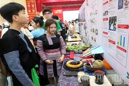 Sôi nổi Ngày hội STEM tại Trường Phổ thông Dân tộc nội trú THPT Hòa Bình