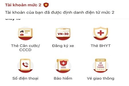 Cách kiểm tra thuê bao chính chủ bằng tin nhắn và VNeID