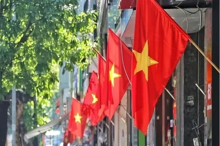 Hoàn thành Phương án tổng thể sắp xếp, tổ chức lại thôn, tổ dân phố trước ngày 10/6/2026