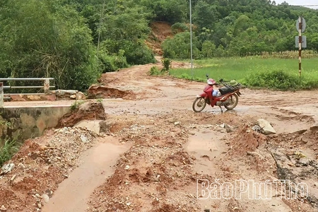 Khẩn trương xử lý các điểm sạt lở tại khu 17, 18 xã Đào Xá