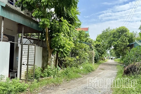 Sơn Đông vận động người dân tự tháo dỡ công trình vi phạm đất đai