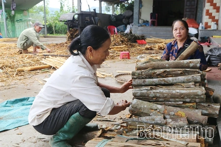 Thượng Long thơm hương quế